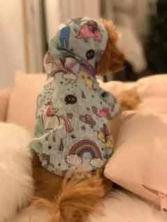 Яркие модные ветровки фото 3669127303