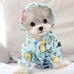 Яркие модные ветровки 0460